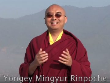 Mingyur-Rinpoche-lazy-meditation