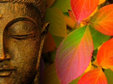 buddha_wallpapers_photos_pictures_autumn_520398229