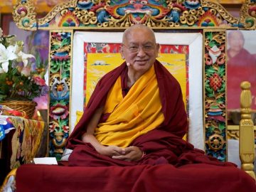 12295497_10201055871196173_5487246454774725692_n