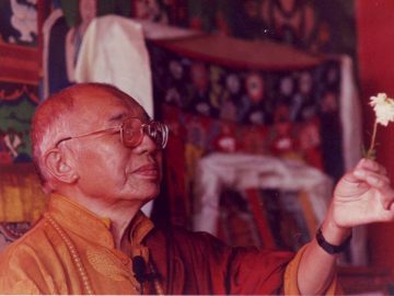 10302305_10153940680244297_8242940261632958434_n