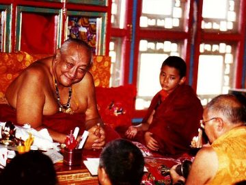 49245651_1664153947019348_7906043010972909568_n