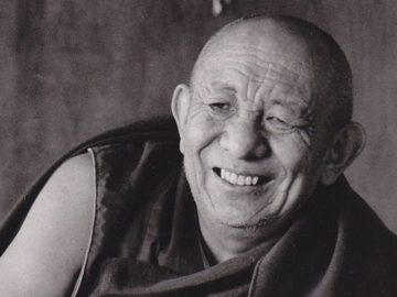 13310497_255227144839844_3207323405757003616_n